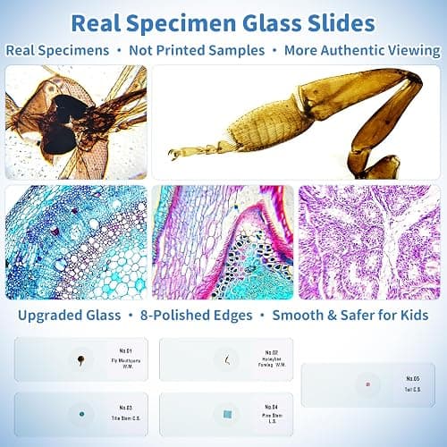 Kids Handheld Digital Microscope 1000X: Science Gift Kit STEM Toy Ages 5-13 | 8GB SD Card for Photo/video, Rechargeable, 2.4" Screen, 8 LEDs, Portable Magnifying Glass Pocket Miniscope for Girls Boys thumbnail 4