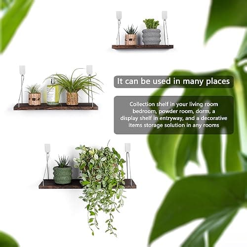 MITIME Floating Wall Shelves, Rustic Wood Wall Mounted Shelf Set of 3 | No Drill Adhesive Renter Friendly Floating Shelf, Display Rack for Plants Decor Bedroom Bathroom Kitchen thumbnail 4