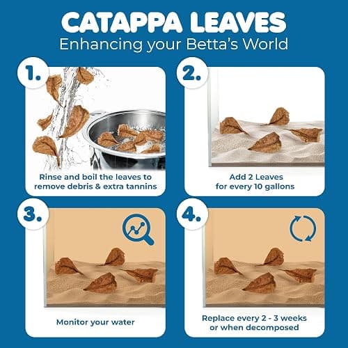 SunGrow 50 pcs Catappa Indian Almond Leaves – 2” Water Conditioner for Betta Fish Tank, Aquarium Leaf for Fish Breeding, Shrimp, Goldfish, Guppy & Frogs thumbnail 5