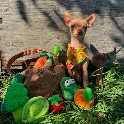 Nocciola Small Squeaky Crinkle Dog Toys- 15 Packs Grocery Basket Fruits Veggies Puppy Toys to Keep Busy, Cute Durable Plush Stuffed Hide Seek Cognitive Dog Christmas Stocking Stuffers thumbnail 9