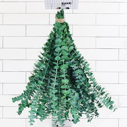 10 Pcs Dried Preserved Eucalyptus for Shower ,17" Real Natural Fresh Hanging Eucalyptus Stems,Real Leaves Branches for Vase Filler,Bathroom,Wedding,Dried Flowers Arrangement Decor - Green-10pcs - Image 1