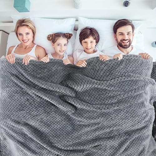 Newwiee 4 Pcs Flanne Fleece Throw Blanket for Bed Couch Large 3D Waffle Textured Soft Blanket Winter Warm Lightweight No Shedding No Pilling Decorative Throw, 50x60 Inch(Neutral Color) thumbnail 7