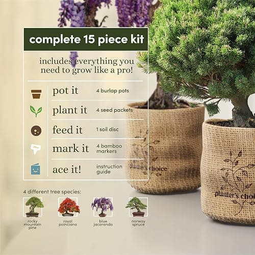 Bonsai Starter Kit thumbnail 4