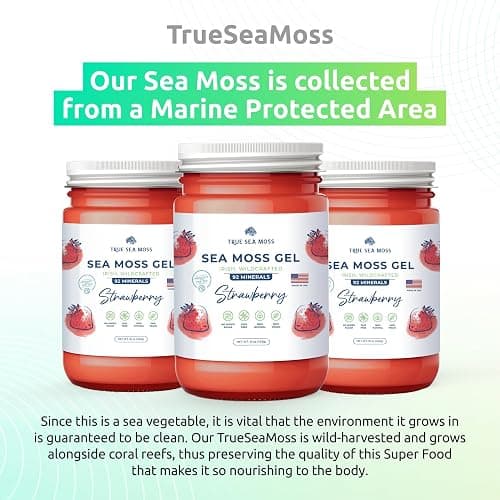 TrueSeaMoss Wildcrafted Irish Sea Moss Gel - Made with Dried Seaweed - Seamoss, Vegan-Friendly, Antioxidant Supports Digestion - Made in USA (Strawberry, Pack of 1) - Strawberry - 16 Fl Oz (Pack of 1) thumbnail 6
