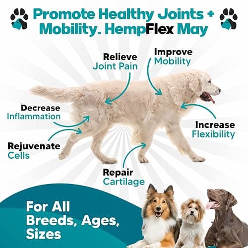 HempFlex - Glucosamine Chondroitin for Dogs - Hemp Oil for Dogs - Safe, All-Natural Dog Joint Supplement - 120 Mobility Hemp Dog Treats - Hip & Joint Support for Dogs - Dog Arthritis Pain Relief thumbnail 2