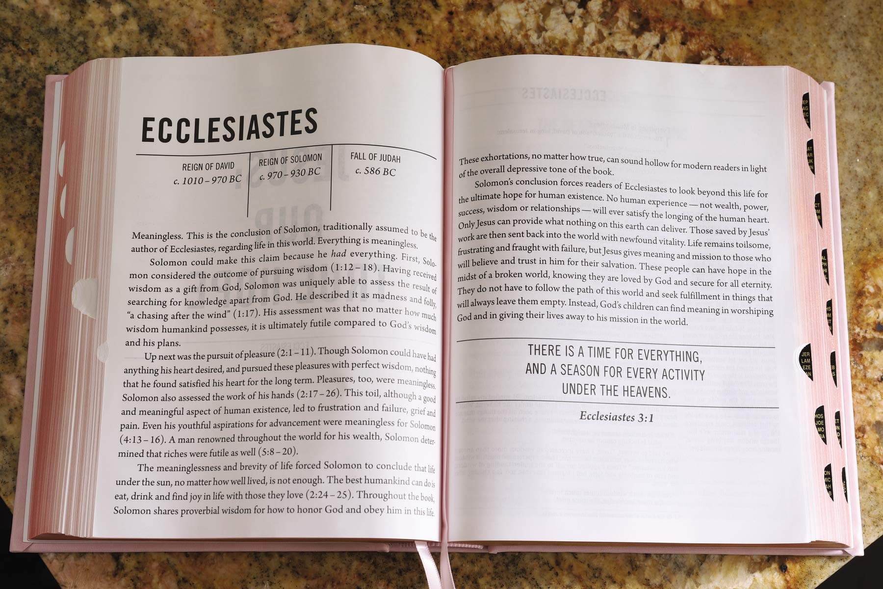 The Jesus Bible Indexed NIV Edition [Pink] thumbnail 7