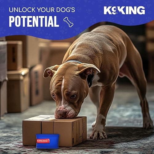 Interactive Dog Scent Training Kit Fun - Nose Work for Dogs, Hide and Seek Dog Toys, Enhance Dog Brain Games, Nose Scent work Games for All Ages Dog, Dog Scent Training Box, Scent Work Kit for Dogs thumbnail 5