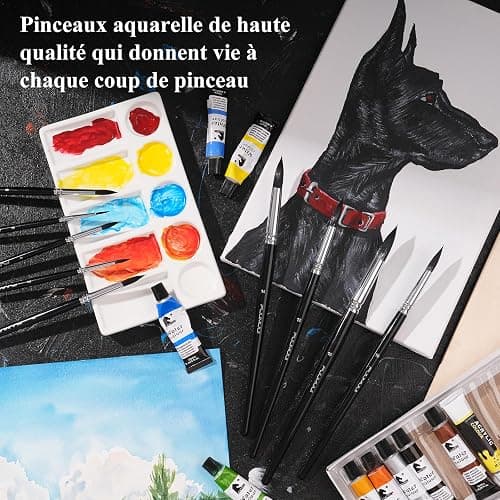 Pinceaux Aquarelle Professionnel - 9 Pinceaux Ronds d'artiste pour Aquarelle,Gouache | Pinceaux en Poil D’écureuil Synthétique pour Un Flux Constant | Watercolour Brushes, Pinceau Poil Synthétique thumbnail 7