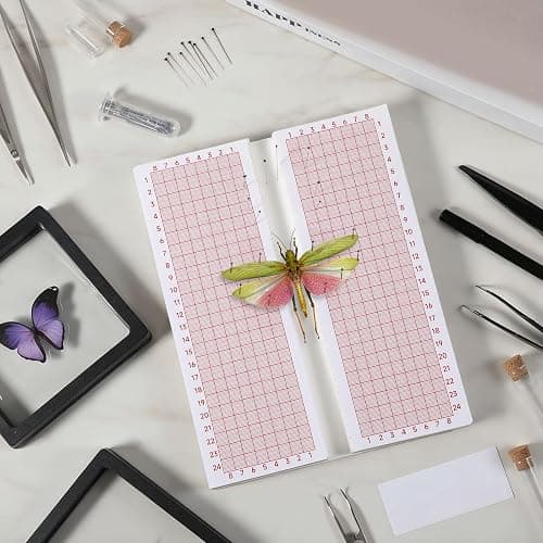 Butterfly Pinning Board Insect Pinning Board Butterfly Spreading Boards Foam Boards for Pinnings Insects Dual-Sided Bug Pin Trapping Boardes with Wings, EVA Foam thumbnail 7