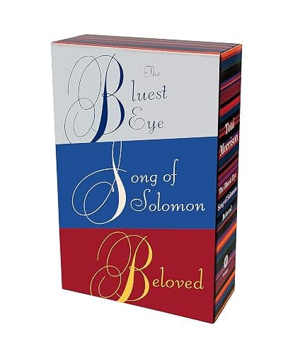 Toni Morrison Box Set: The Bluest Eye, Song of Solomon, Beloved thumbnail 6