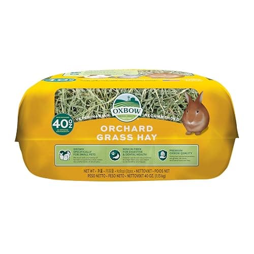 Oxbow Orchard Grass Hay for Small Pets – All-Natural Long Strand Fiber Hay for Rabbits, Guinea Pigs, Chinchillas, and Hamsters – Supports Digestive Health and Enrichment – 40 oz Bag thumbnail 15