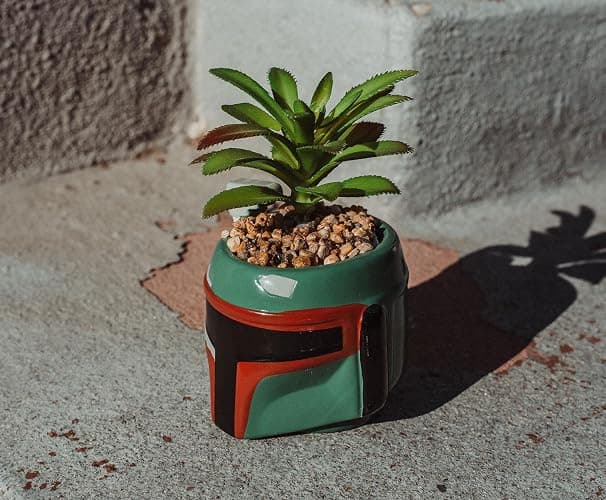 Star Wars Boba Fett Helmet 3-Inch Ceramic Planter with Artificial Succulent | Small Flower Pot, Faux Indoor Plant for Desk Shelf, Trinket Tray | Cute Home Decor Gifts and Collectibles thumbnail 5