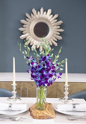 KaBloom - Exotic Sapphire Orchid Bouquet of Blue Orchids from Thailand with Vase - Fresh Flowers for Birthday, Valentine's & Mother's Day thumbnail 4