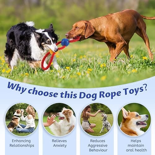 Aitmexcn Dog Rope Toy, Tough Tug of War Toy for Medium and Large Dogs | Natural Cotton, Teeth Cleaning Chew Toy, Interactive Play for Boredom Relief, Durable Pull Rope Toy for Dogs thumbnail 4