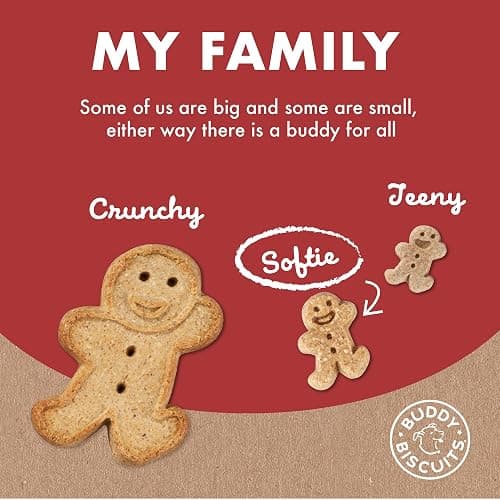 Buddy Biscuit Softies 5 oz Pouch, Grain-Free Soft & Chewy, Natural Grilled Beef Flavor Dog Treats, Oven Baked in the USA thumbnail 9