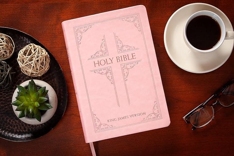 KJV Holy Bible: Blush (Light Pink), Giant Print (14 pt) – Thumb Indexed, Faux Leather, King James Version thumbnail 11
