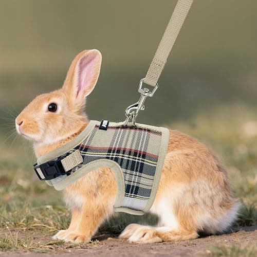AIITLE Adjustable Bunny Harness & Leash Set - Soft Mesh Liner, Comfort Fit Plaid Pattern Vest with Magic Tape Design, Portable for Small Animal Pets Puppy Cat Rat Squirrel Ferret, Beige L thumbnail 7