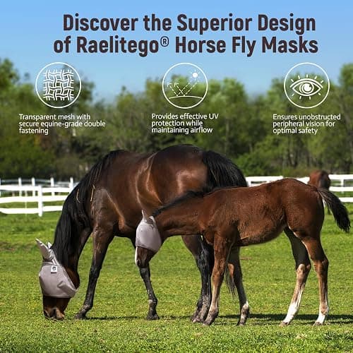 Raelitego Horse Fly Mask, Adjustable Fly Masks for Horses with Ears, UV Protection from Insect Pests Comfort Mesh Without Nose Average Size Horses Accessories(Large) thumbnail 2
