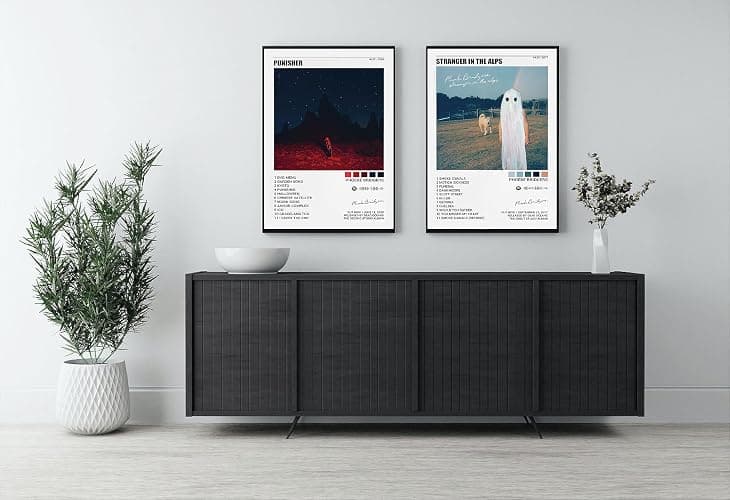 BATWHO A Set Of 2 Phoebe Bridgers Posters Punisher Stranger In The Alps Canvas Poster Unframe: 12x18inch(30x45cm) thumbnail 4