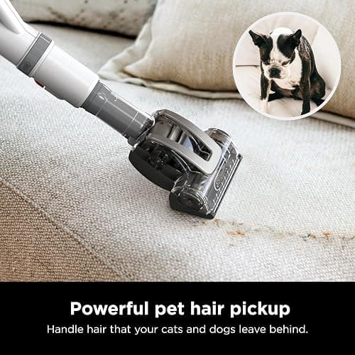 Shark | Upright Vacuum Cleaner | Navigator Lift-Away | Swivel Steering | HEPA Filter | Vacuum for Pet Hair | Crevice Tool & Dusting Brush Included | For Carpets & Hard Floors | White/Silver | NV356E thumbnail 6