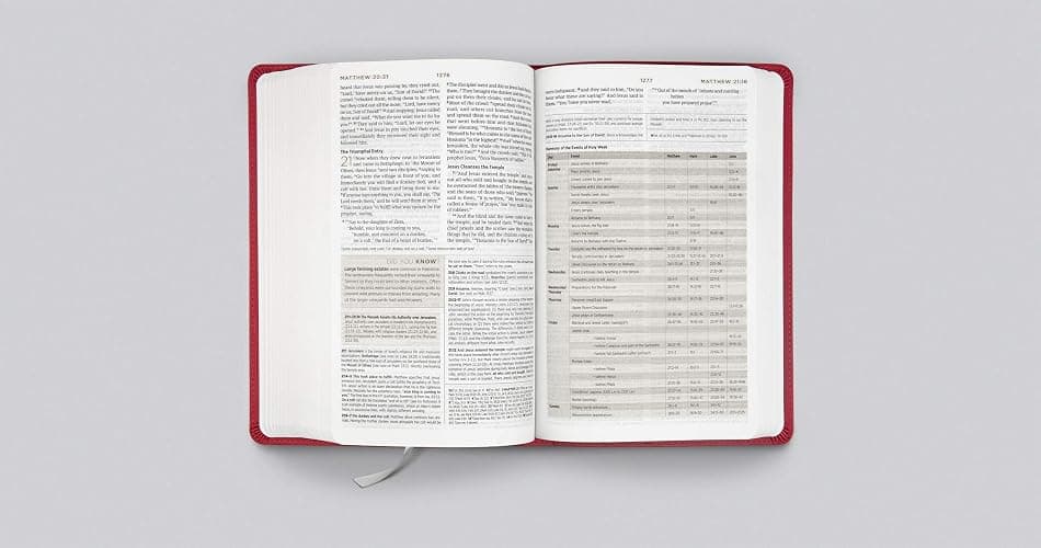 ESV Student Study Bible (TruTone, Berry, Floral Design) thumbnail 3