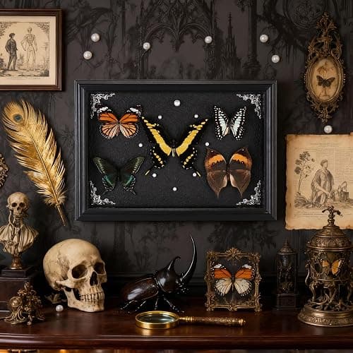 Real Framed Butterfly Taxidermy Collection - Set of 5 in Shadow Box Display, Office - Unusual Gift for Entomology Lovers, Birthday, Christmas thumbnail 5