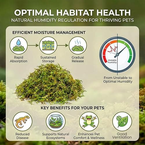 Sukh Sphagnum Moss for Reptiles & Plants - Terrarium Moss Substrate, 5oz | Habitat Bedding for Gecko, Snake, Turtle, Frog, Bearded Dragon, Jumping Spider, Chameleon, Enclosure & Tank Accessories Decor thumbnail 3