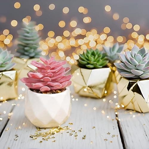 VIVERIE Mini Succulents Plants Artificial in Pots-Rose Pink, Christmas Small Fake Succulents Plants for Home Halloween Decor Indoor for Women, White Ceramic, Set of 4, Gifts for Mom thumbnail 6