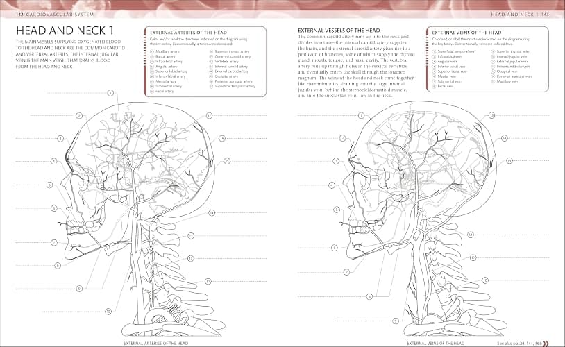 The Human Body Coloring Book: The Ultimate Anatomy Study Guide, Second Edition (DK Human Body Guides) thumbnail 7