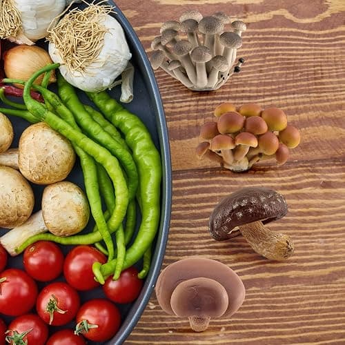 GUFOPONAS Realistic mini Life Cycle of Mushroom Figure Toy Set 4PCS Mushroom Decor for Diorama Projects Kids Birthday Gift Learning Toy thumbnail 4