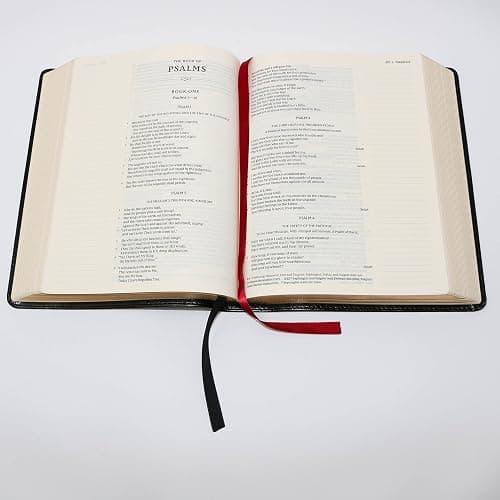 KJV Journal the Word Bible, Reflect, Journal or Create Art Next to Your Favorite Verses (Pink Floral Cloth over Board, Red Letter, Comfort Print: King James Version Holy Bible) thumbnail 2