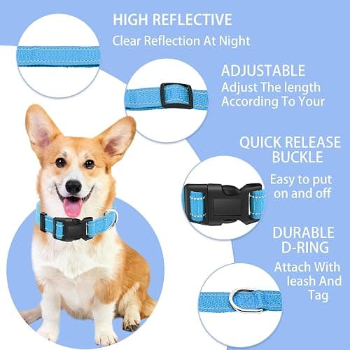 Maiiu Reflective Dog Collar with Safety Locking Buckle (Collar+Leash) | Adjustable Soft Breathable Nylon Collars for Small, Medium and Large Dogs (S Width 5/8" Sky Blue) thumbnail 2