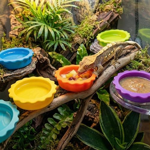 7 Pack Crested Gecko Food and Water Bowl, Eudimysx Reusable Small Reptile Feeding Dish, Gecko Tank Accessories for Hermit Crab, Tarantula, Isopods, Snails and Lizard, Silicone Easy Clean & 7 Colors thumbnail 2