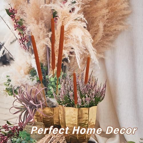 Dried Natural Brown Cattails Flowers - 20PCS Real Broadleaf Pencil Cattail Stems Bundles, 17'' Bulrush Plants Dry Flower for DIY Floral Arrangements, Wedding Home Office Gardens Decor thumbnail 7