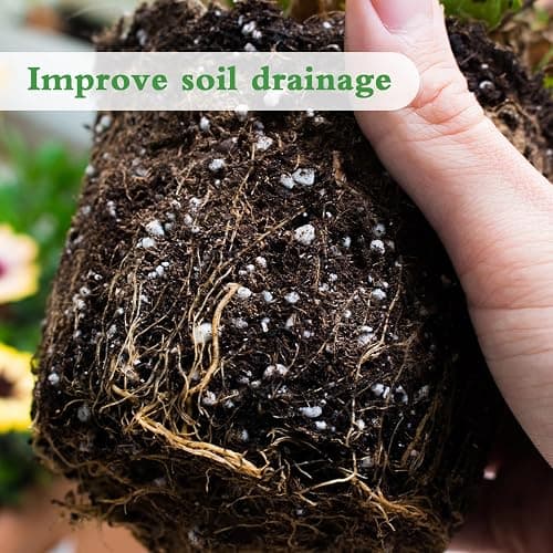 Organic Perlite for Plants, Enhances Soil Drainage and Aeration, Perfect Perlite for Plants Indoor & Outdoor, Horticultural Perlite for Gardening, Perfect for Potting Mixes, 1QT thumbnail 4