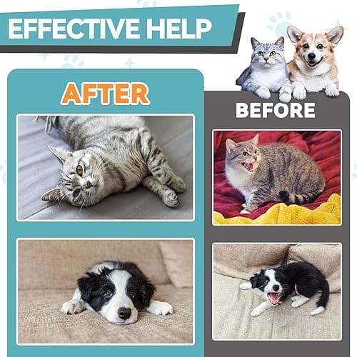 Melatonin for Pets, Dog Melatonin, Dog Sleep Supports, Liquid for Cats, Supports Relaxation Dogs & Cat, Calm Behavior in Dogs, Helps Restful Sleep, Chicken Flavor 60ml thumbnail 7