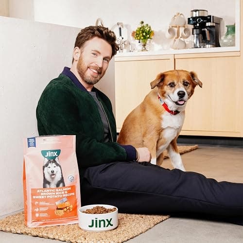 Jinx Kibble Sauce for Dogs - Premium Dog Food Kibble Topper Sauce & Flavor Booster Made with Beef Bone Broth - All-Natural Ingredients, No Additives or Fillers - 12 Oz thumbnail 4