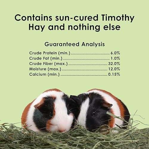 Kaytee Timothy Hay, High Fiber for Rabbits, Guinea Pigs, 12 Pounds | Supports digestive health. Hand-selected rabbit hay. Guinea pig hay, chinchilla hay, pesticide free thumbnail 8