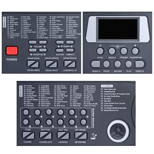 Hricane Piano Keyboard, 61 Keys Beginner Electronic Keyboard Portable Digital Music Keyboard, Early Education Music Instrument with Microphone & Music Sheet Stand thumbnail 5