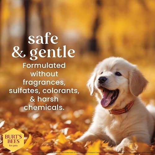 Burt's Bees for Puppies Natural Tearless 2 in 1 Shampoo and Conditioner | Made with Buttermilk and Linseed Oil | Best Tearless Puppy Shampoo for Gentle Skin and Coat | Made in USA, 16 Oz thumbnail 5