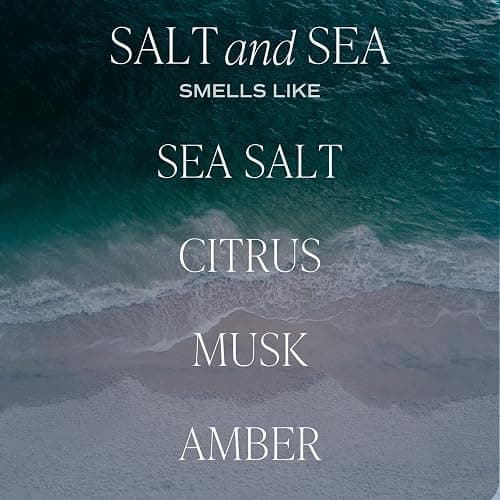 Sweet Water Decor Salt and Sea Reed Diffuser – Room Decor Aesthetic with Long-Lasting Premium Fragrance of Sea Salt, Citrus, Musk, and Amber for 4 Months – Ideal for Home Decor thumbnail 2