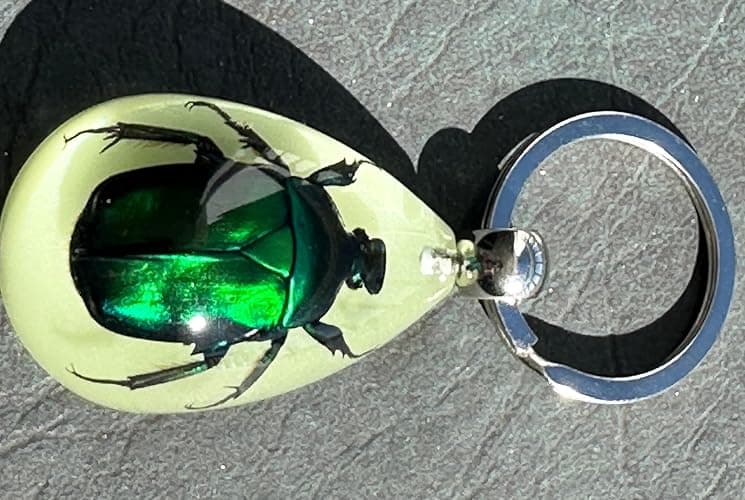 HQRP-Crystal 45mm Real Emerald Green Chafer Beetle in Glow in The Dark Lucite Keychain Insect Animal Taxidermy Sample Inside for Biology Science Education Decoration Tear Drop Key Ring Chain Pendant thumbnail 5