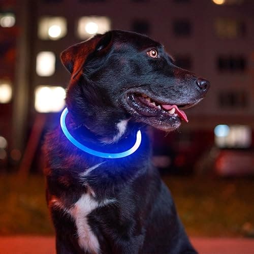 Light up Dog Collar, BSEEN USB Rechargeable Flash Dog Necklace Light, Pet Safety Collar Makes Your Beloved Dogs Be Seen at Night for Small Medium Large Dogs(Blue) thumbnail 6