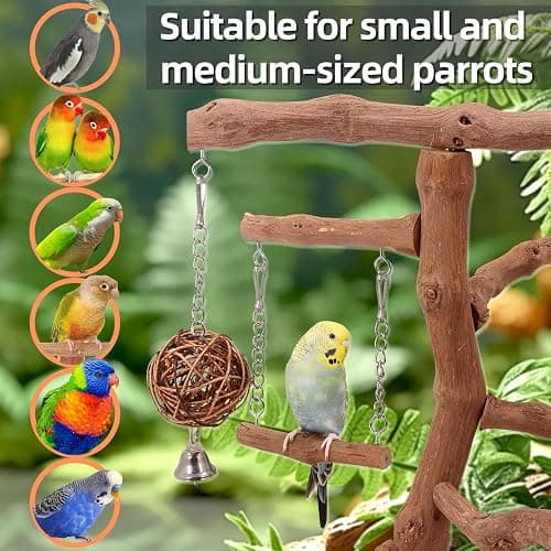 LIMIO Natural Grape Wood Bird Parakeet Playground - Perch Stand for Parakeets, Cockatiels, and Small Birds Toys thumbnail 7