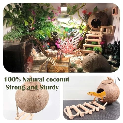 10PCS Crested Gecko Tank Accessories, Reptile Plants Bridge Vines, Coconut Shell with Ladder for Lizard, Chameleon Cage, Snakes, Hermit Crab, Leopard Gecko Tank Accessories, Terrarium Decor thumbnail 2