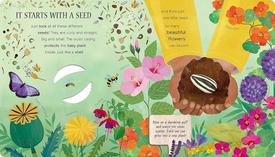 One Little Seed: Exploring Nature for Curious Kids thumbnail 2
