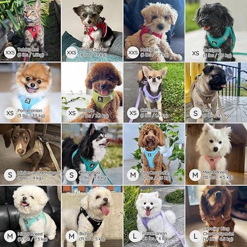 BELLA & PAL Step in Vest Harness for Small and Medium Dogs, No Pull Small Dog Harness with Leash Set, Comfortable Air Mesh Dog Vest Harness with Reflective Strip (Mokka, L) thumbnail 5