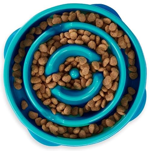 Outward Hound Medium Slow Feeder Bowl, Puzzle Maze for Fast Eaters, Small to Medium Dogs, Helps Prevent Bloat & Aid Digestion, Holds 2 Cups Wet or Dry Food, Non-Slip, Made Without BPA, Turquoise - Image 1