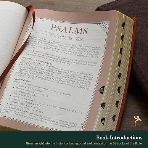 The Spiritual Growth Bible, Study Bible, NLT - New Living Translation Holy Bible, Faux Leather, Pearlescent Taupe (NLT Spiritual Growth Editions) thumbnail 6