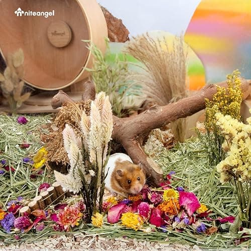 Niteangel Natural & Soft Hamster Bedding for Syrian Dwarf Hamsters Gerbils Mice Degus Bunny or Other Small-Sized Pet (Flowers Scent Path) thumbnail 7